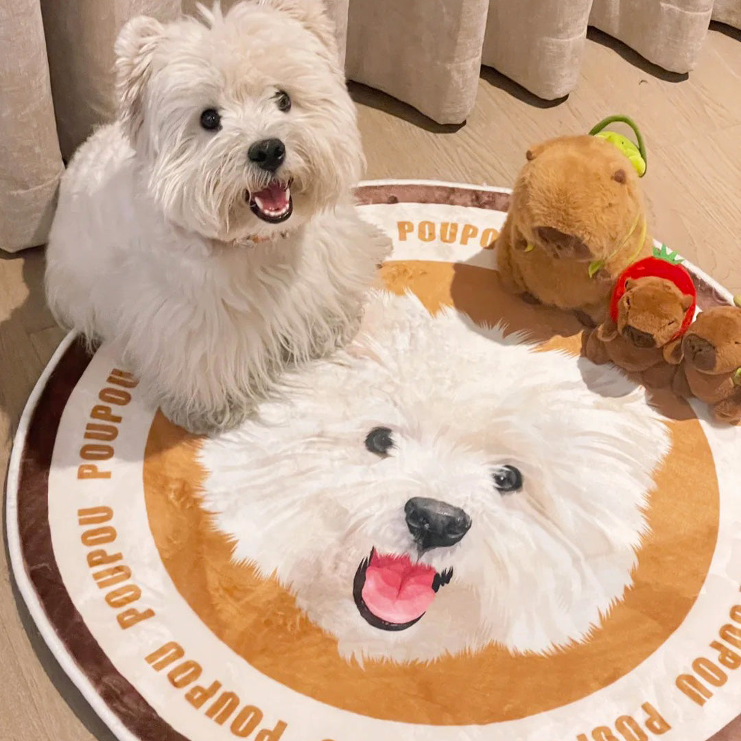 Customized Pet Illustrated Rugs