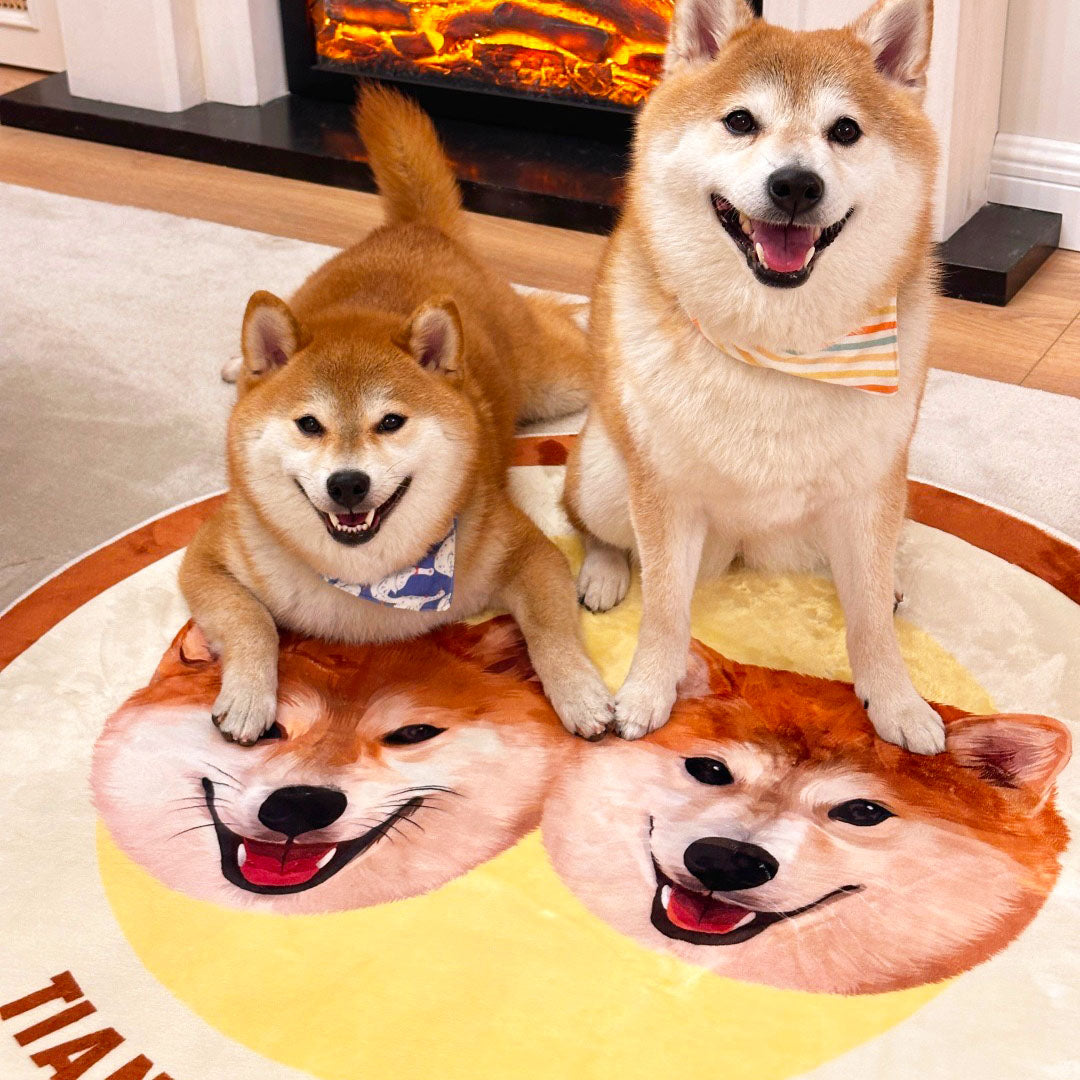 Customized Pet Illustrated Rugs