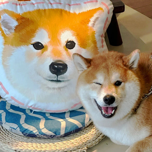 Customized Pet Shaped Pillow